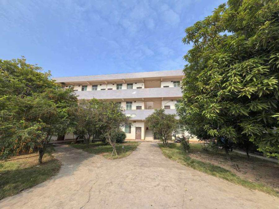 6月1日百色市工业园区吉源路北侧地块的土地一宗及地上附作物网络拍卖公告