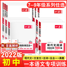 2022版一本初中语文五合一训练古诗
