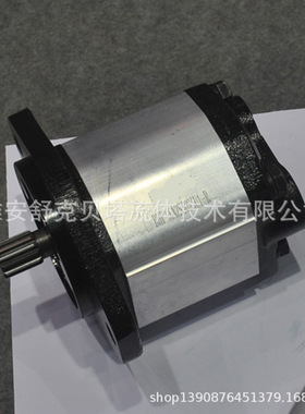 BHP2.6A2S30S3U1-R系列齿轮泵