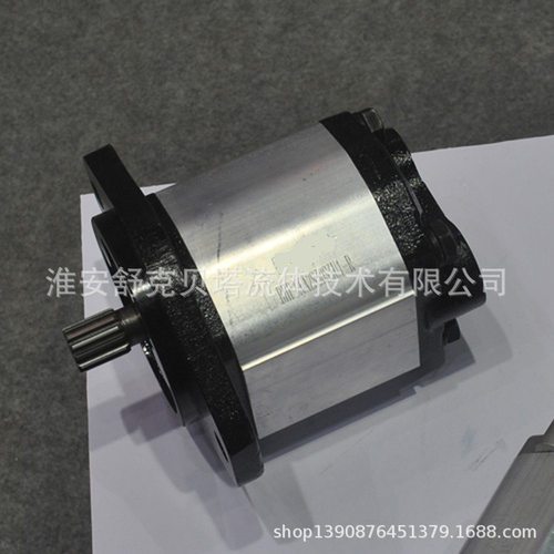 BHP2.6A2S30S3U1-R系列齿轮泵