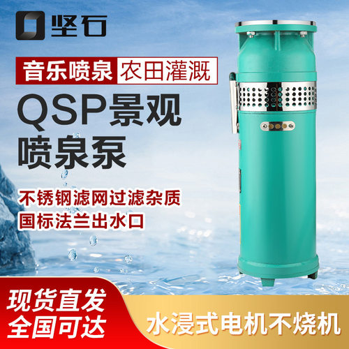 qsp小区水景鱼池潜水水浸式喷泉专用泵卧式可频繁启动景区喷泉泵