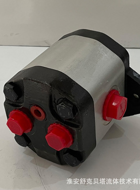 舒克贝塔流体CB2A-F23-AXA系列液压双向齿轮泵