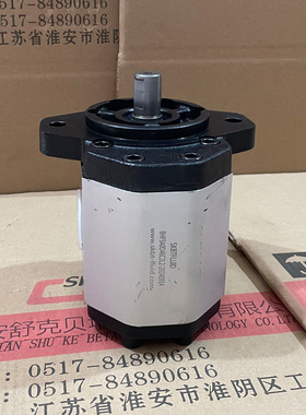 BHP3AOD46C2L2高压齿轮泵