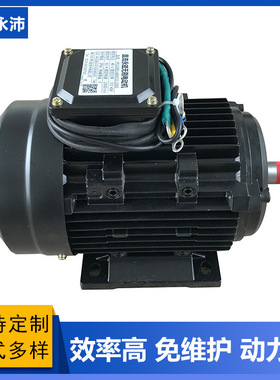 YP80 YP90 YP100 YP112 YP132直流永磁无刷电机,蓄电池电机寿命长