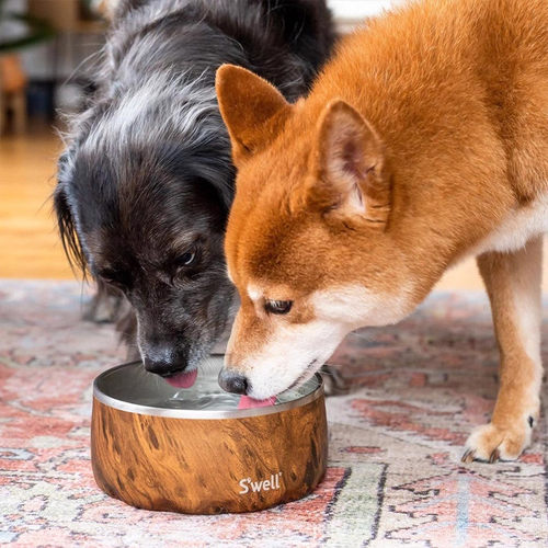 Swell宠物碗猫咪饮水碗不锈钢一体狗碗盆大口径专用防打翻慢食碗