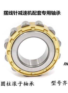 摆线针减速机轴承RN305 306 307 308 309 310 311 312 313 RN328M
