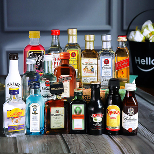 2件八折伏特加小瓶装迷你酒小酒版便利店调酒基酒威士忌朗姆国产