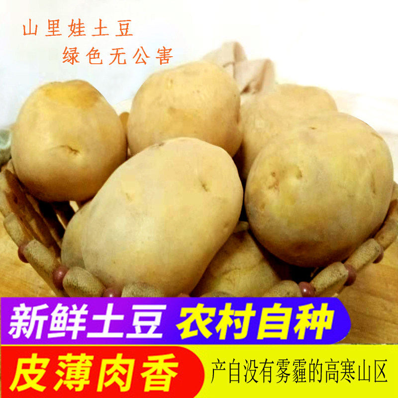 山西岚县特产土豆黄皮黄心土豆糯面大土豆农家马铃薯洋芋5斤