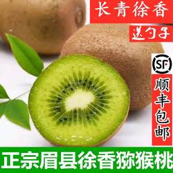 陕西眉县猕猴桃绿心徐香奇异新鲜现摘时令孕妇水果顺丰包邮