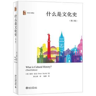 什么是文化史（第三版） 历史与理论 北京大学旗舰店正版