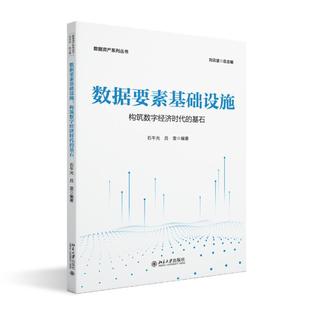 數(shù)據(jù)資產(chǎn)系列叢書(shū) 數(shù)據(jù)要素基礎(chǔ)設(shè)施：構(gòu)筑數(shù)字經(jīng)濟(jì)時(shí)代 石午光 北京大學(xué)旗艦店正版 基石