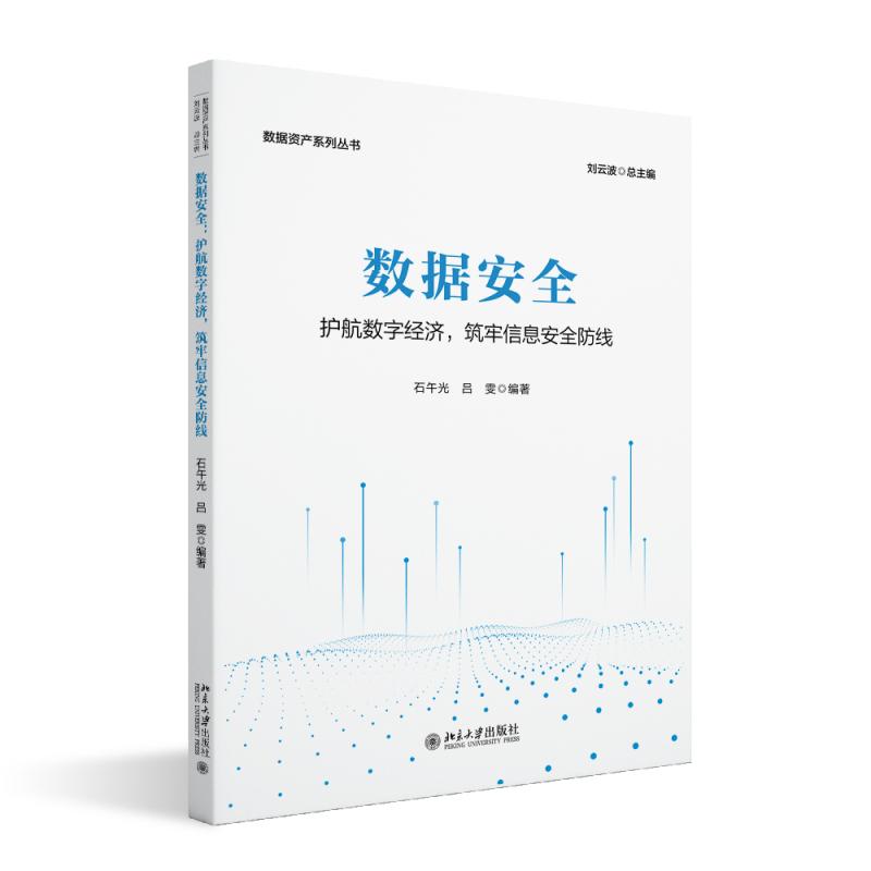 数据安全：护航数字经济，筑牢信息安全防线 石午光 数据资产系列丛书 北京大学旗舰店正版