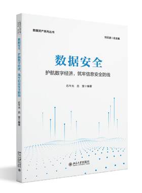 数据安全：护航数字经济，筑牢信息安全防线 石午光 数据资产系列丛书 北京大学旗舰店正版