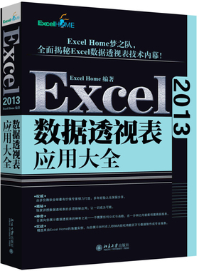 Excel 2013数据透视表应用大全 北京大学旗舰店正版
