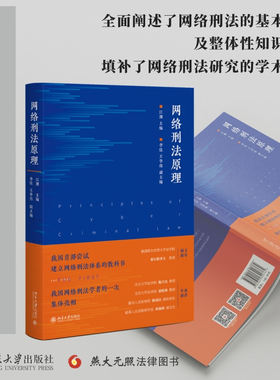 网络刑法原理江溯犯罪跨国