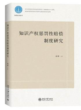 知识产权惩罚性赔偿制度研究 孙那 知识产权法律制度法学理论研究 知识产权惩罚性赔偿判决司法实证分析现状 北京大学旗舰店正版