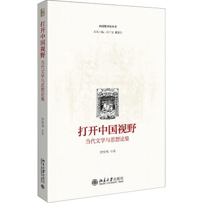 打开中国视野——当代文学与思想论集 向度批评家丛书 北京大学旗舰店正版