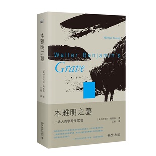 本雅明之墓:一场人类学写作实验 迈克尔·陶西格 北京大学出版社