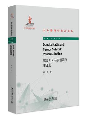 Density Matrix and Tensor Network Renormalization（密度矩阵与张量网络重正化） 向涛 中外物理学精品书系 北京大学旗舰店正版