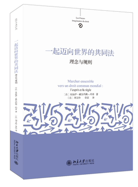 一起迈向世界的共同法：理念与规则 米海伊戴尔玛斯－玛蒂 北京大学旗舰店正版