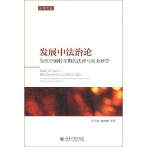 发展中法治论：当代中国转型期的法律与社会研究