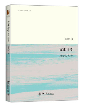 文化诗学：理论与实践 文化诗学理论与实践丛书 北京大学旗舰店正版