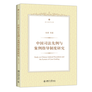 中国司法先例与案例指导制度研究 北大法学 北京大学旗舰店正版
