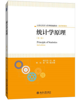 统计学原理(第二版) 经济与管理精编教材 经济学系列 北京大学旗舰店正版