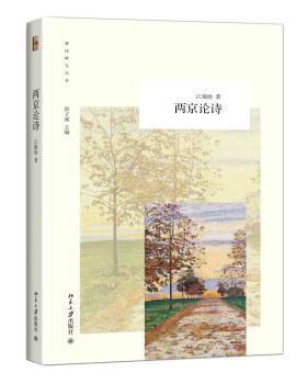 两京论诗 新诗研究丛书 北京大学旗舰店正版