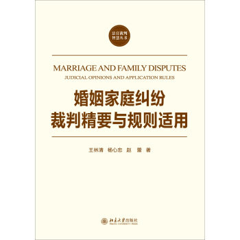 婚姻家庭纠纷裁判精要与规则适用 法官裁判智慧丛书 北京大学旗舰店正版