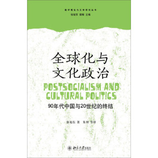全球化与文化政治——90年代中国与20世纪的终结 批评理论与文学研究丛书 北京大学旗舰店正版