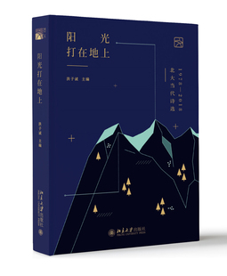 阳光打在地上——北大当代诗选1978—2018 北京大学旗舰店正版