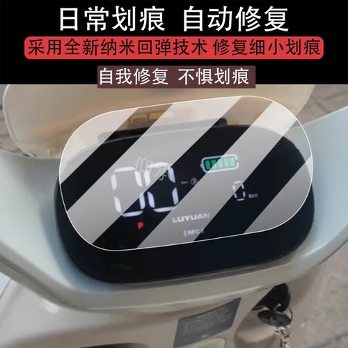 适用于绿源ZFF2仪表膜绿源zff2电动车屏幕贴膜新款液晶非钢化膜