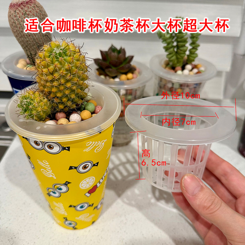 咖啡杯子水培多肉定植篮水养蔬菜红薯花卉奶茶饮料杯子固定篮植物