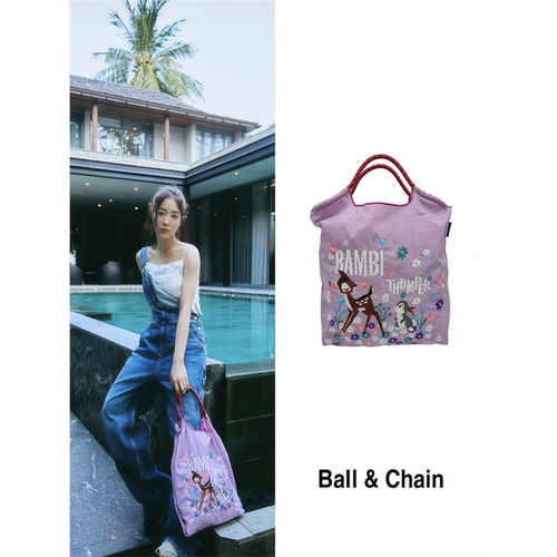 张元英明星同款包包日系ball chain刺绣小鹿环保购物袋帆布单肩包