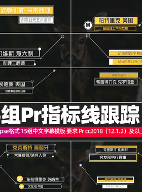 Pr字幕模板Call Out Titles 15组指示线跟踪字幕特效素材win/mac