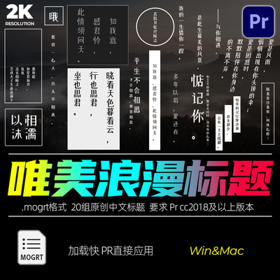 Pr垂直字幕插件坚屏唯美浪漫诗般垂直简洁标题文字排版win&mac