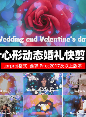 Pr模板Love Heart粒子纪念日片头情人节婚礼电子相册模板win/mac