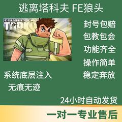 FE狼头逃离塔科夫天周月稳定升级辅助教学俄欧黑白边账号雷达陪玩