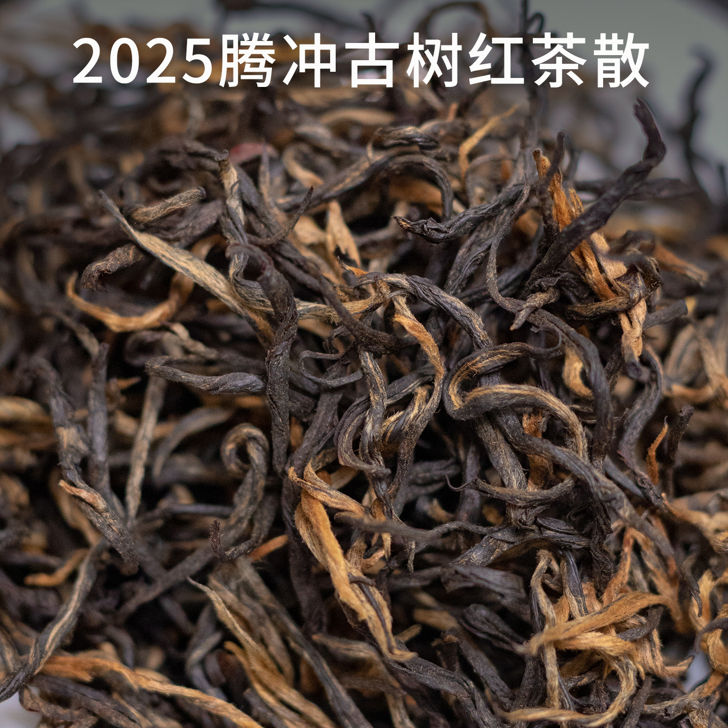腾冲古树嫩采春茶红茶散香甜浓郁