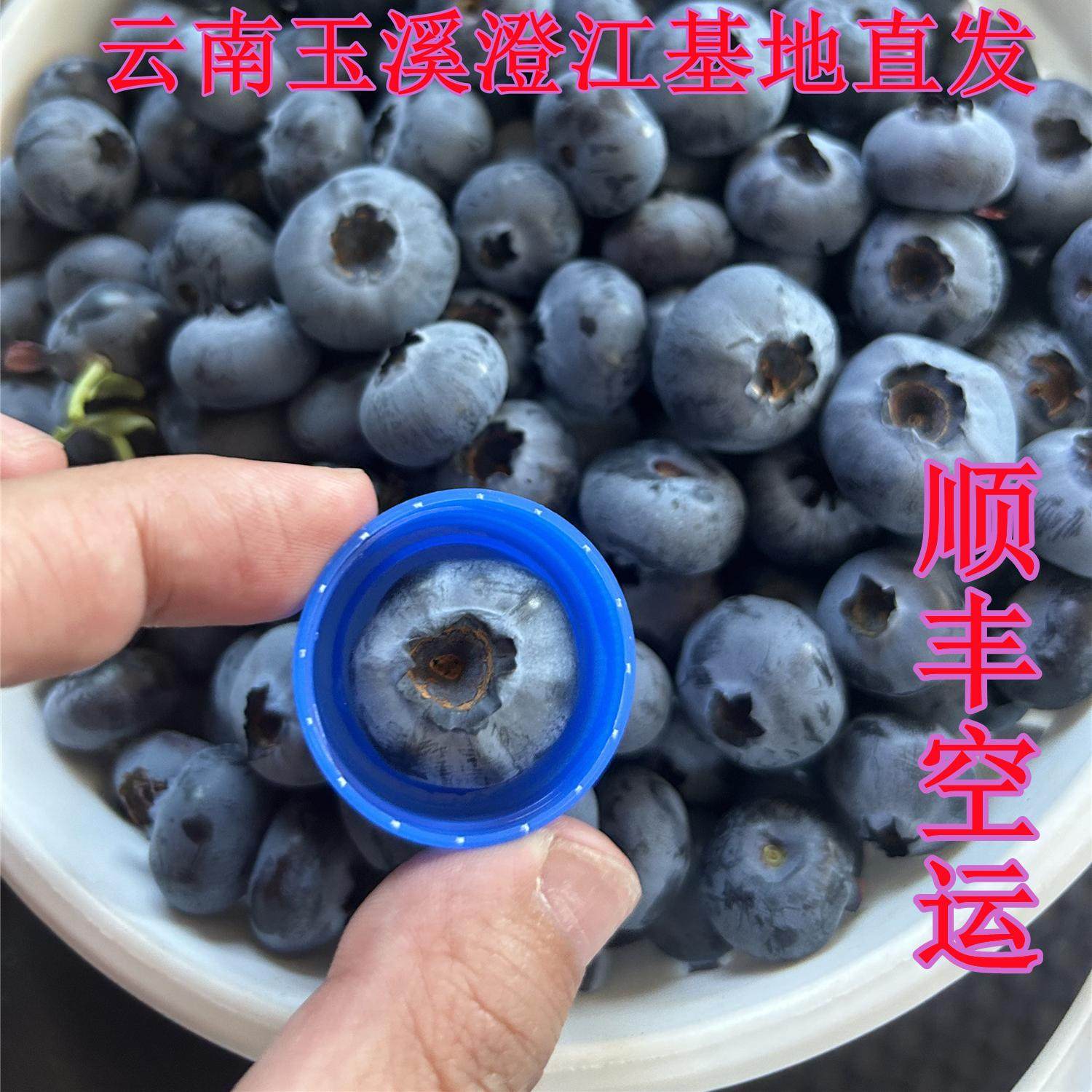 【顺丰空运】云南澄江精品花香25号蓝莓鲜果特级新鲜采摘水果,水产肉类/新鲜蔬果/熟食,蓝莓,淘宝优惠券,粉丝福利购,淘宝优惠卷