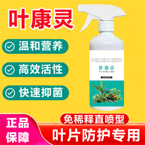 叶康灵植物营养液月季茶花桂花