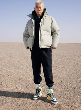 adidas阿迪达斯 三叶草 户外防风保暖运动羽绒服 HS7279 HL9201