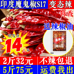 超辣辣椒 印度魔鬼辣椒500克香辣特辣干辣椒可磨辣椒粉面切辣椒段
