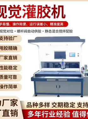 双组份CCD全景全自动灌胶机高速双工位打胶机高精度大视觉灌胶机