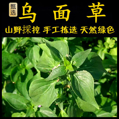 新鲜现采乌面草潮汕青草堂