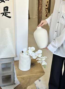 高级感侘寂风白色陶瓷花瓶摆件客厅插花中古风艺术陶罐可水培养花