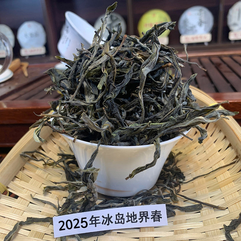 冰岛地界古树茶2025年春茶散装云南茶叶普洱茶生茶老树散茶程健