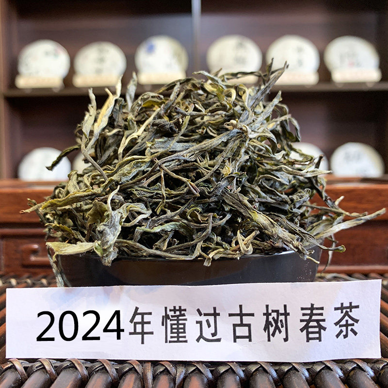 程健临沧懂过古树纯料春茶散茶