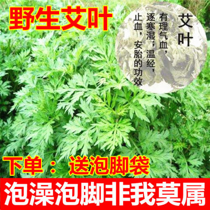 野生艾艾叶艾草泡脚坐月子洗澡陈艾叶艾草500克包邮